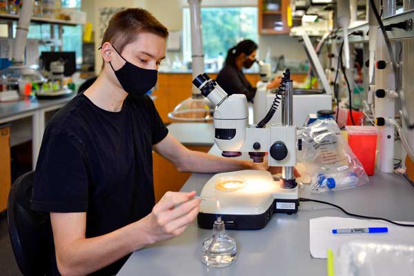 undergraduate researchers in biology lab