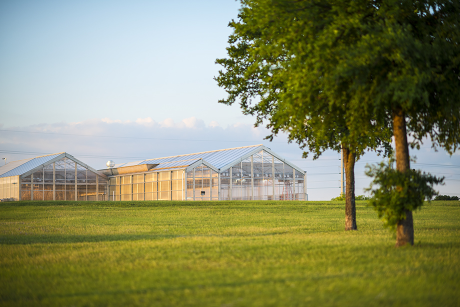 Photo of UNT's Discovery Park greenhouse