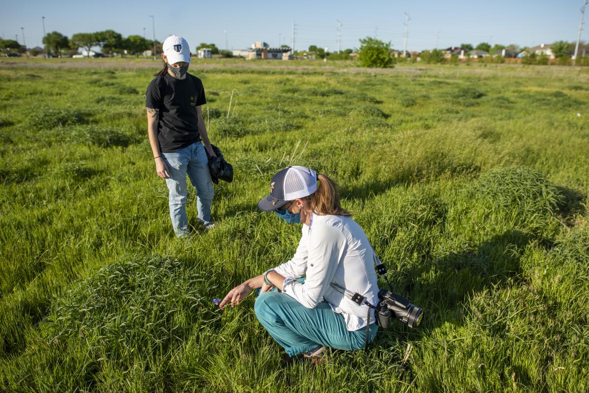 Student researchers on Pollinative Prairie