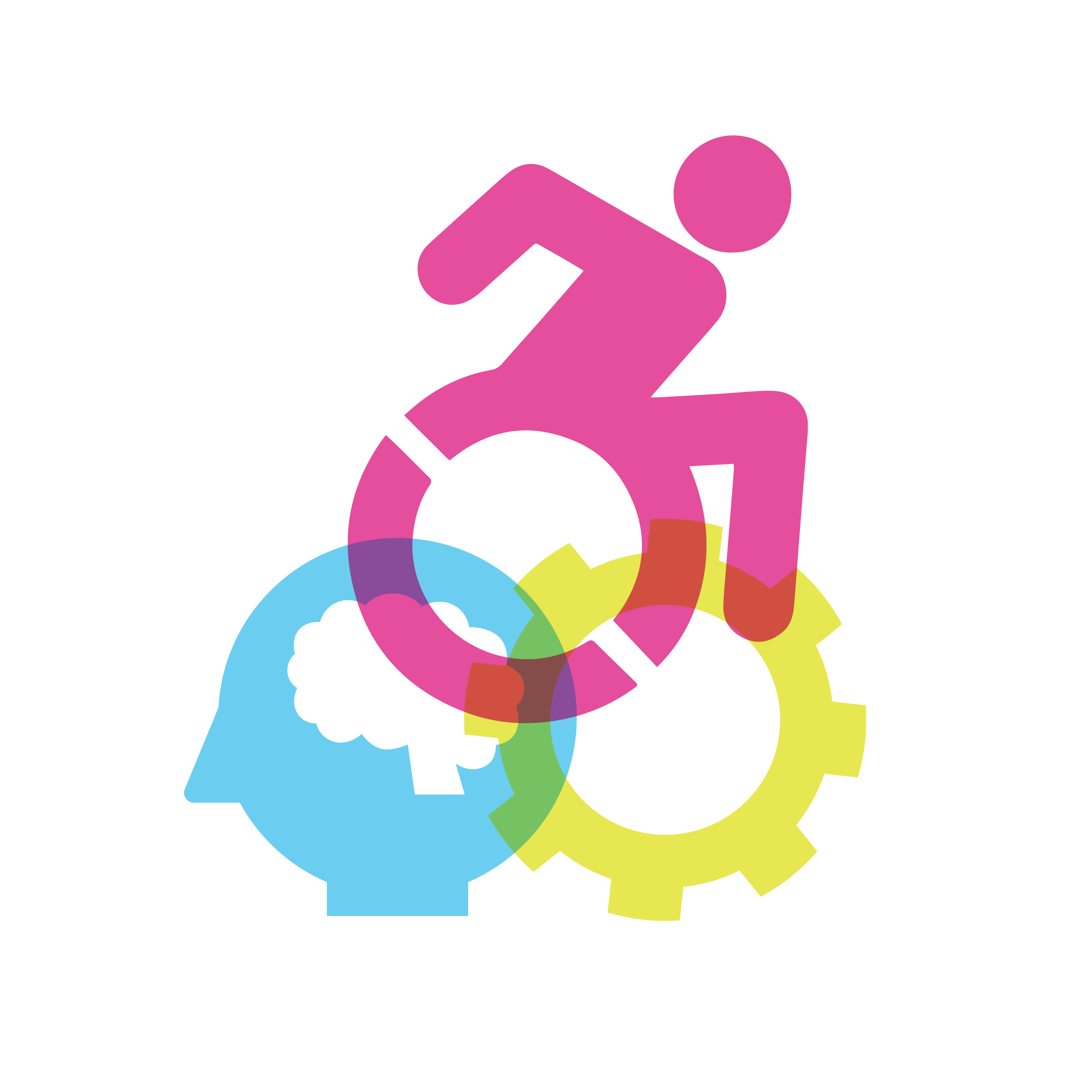 Image of wheelchair, person and gear icons