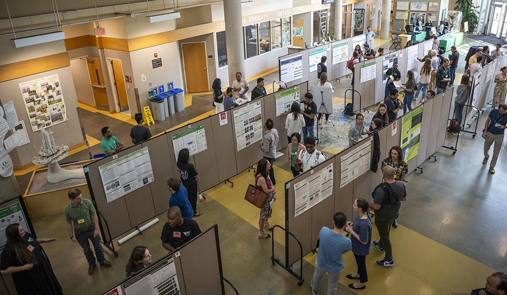 Photo from above of people perusing research posters at the BioDiscovery Institute Research Expo