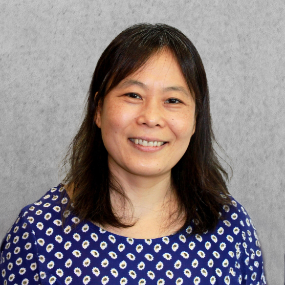 Dr. Hong Wang