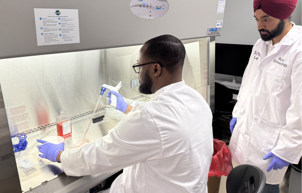 two researchers in a lab