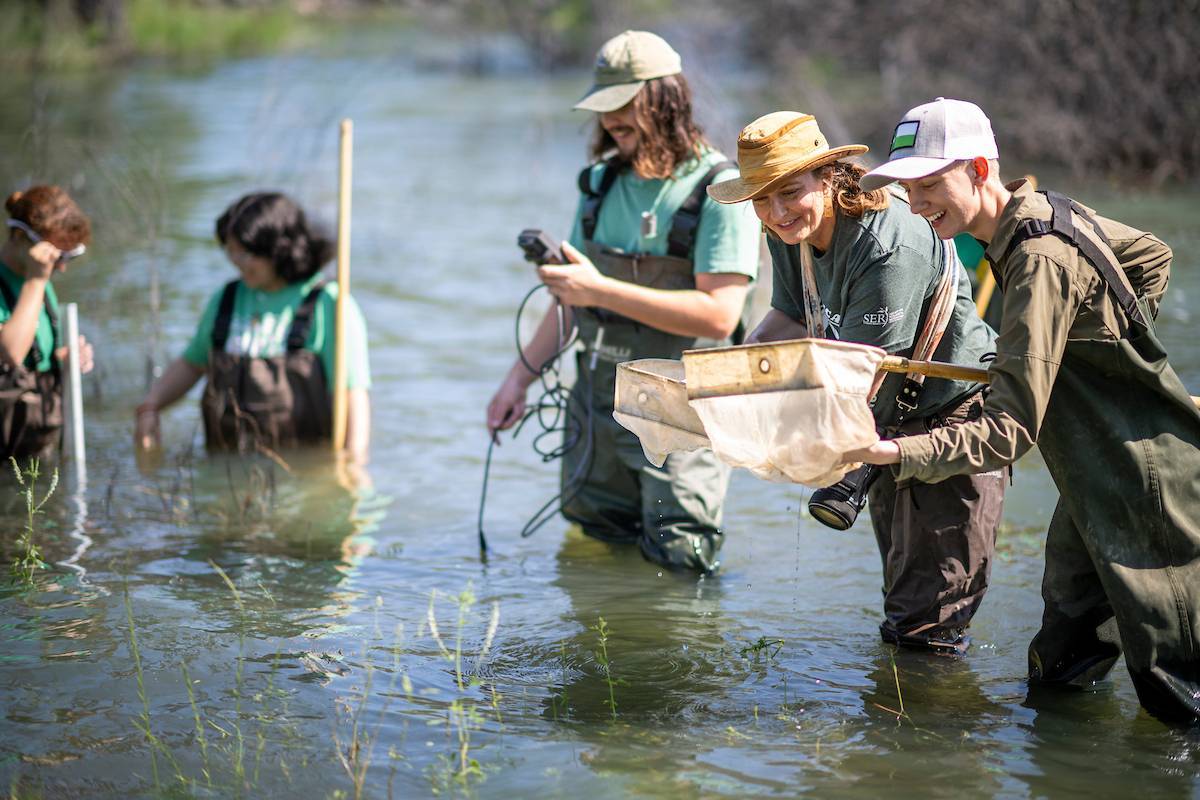 Students conducting field work in the elm form