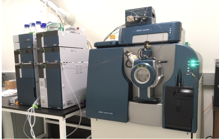 Photo of one processor and various equipment in a lab