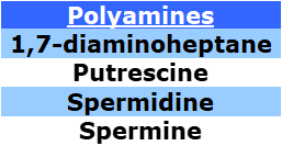 polyamines