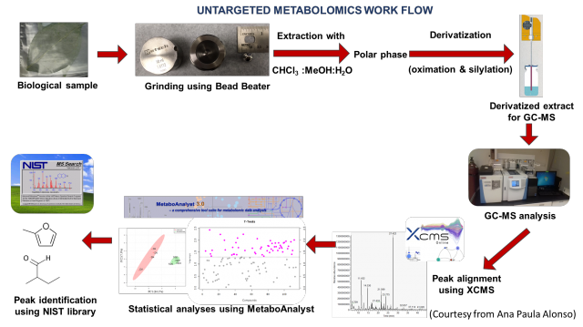 Screenshot that documents the Untargeted metabolics workflow