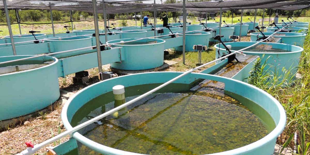 Water experiment station