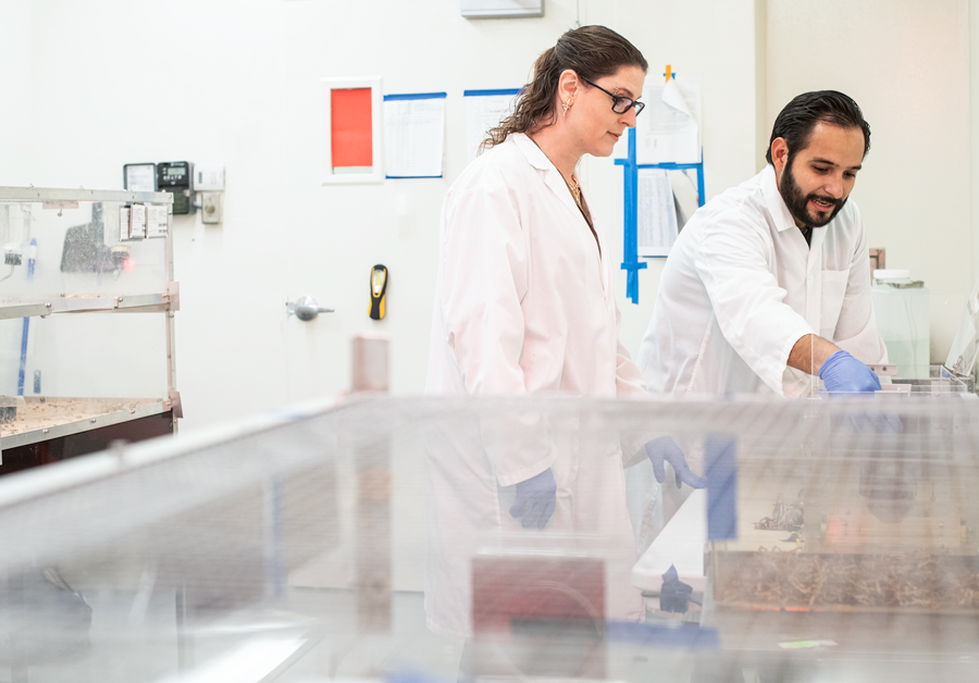 Supporting Graduate Research