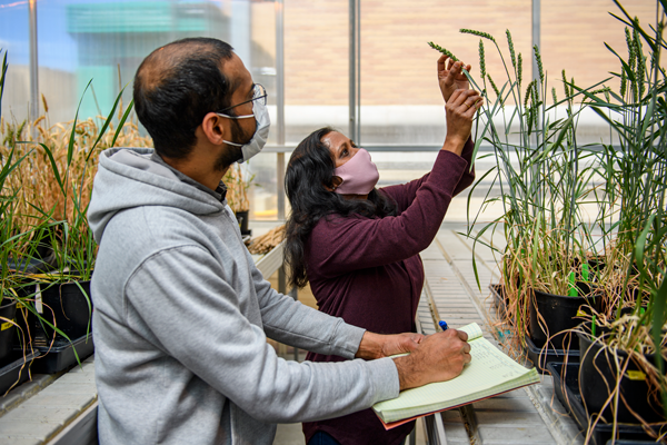 students in greenhouse