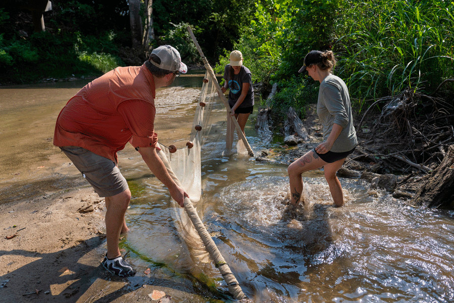 students with net in stream