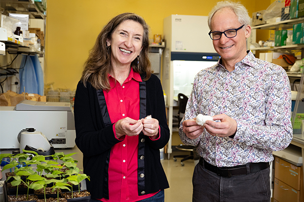 College of Science faculty Roisin C. McGarry and Brian G. Ayre