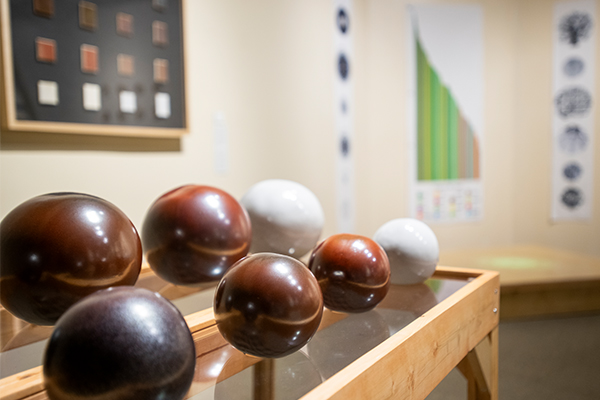 CVAD students create art inspired by UNT research
