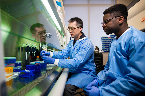 two people doing research in a lab setting