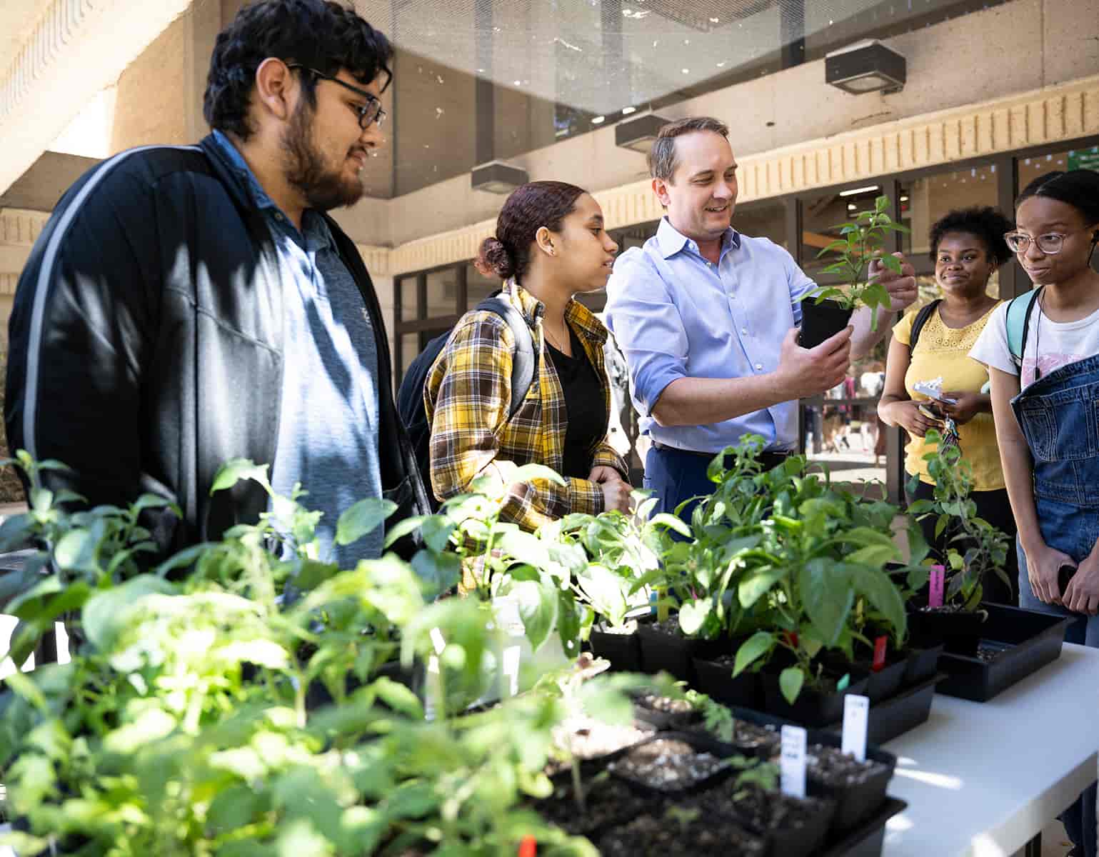 students looking at plants
