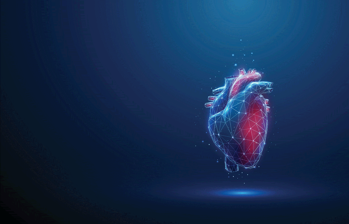 Stock photo of heart 