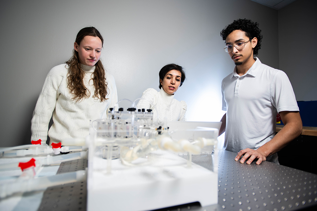 UNT assistant professor Fateme Esmailie (center) conducts research with a 3D heart model in the lab along with students Indra Vandenbussche (left) and Ricardo Rodriguez. 