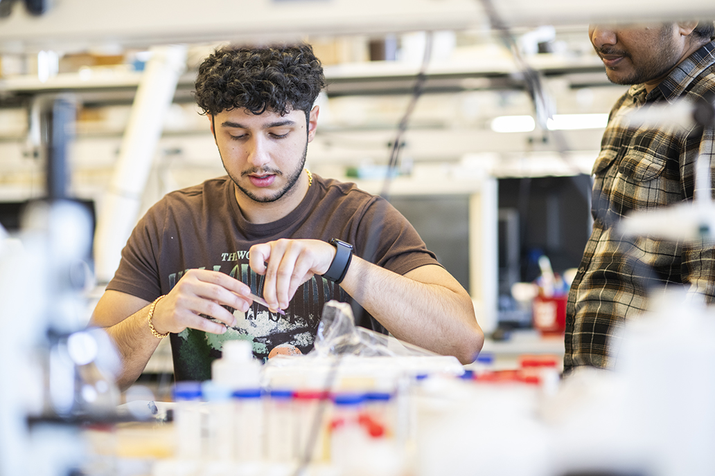 Undergraduate biochemistry student Sam Bargrizan conducts research in Douglas Root's lab. 