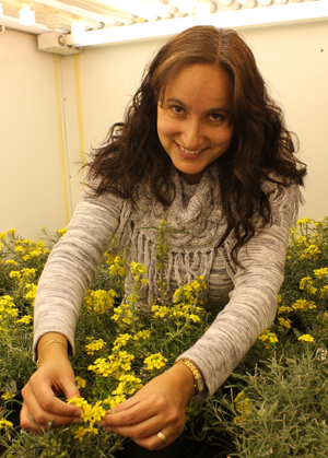 Photo of woman (Ana Paula Alonso) working in greenhouse and touching flowers
