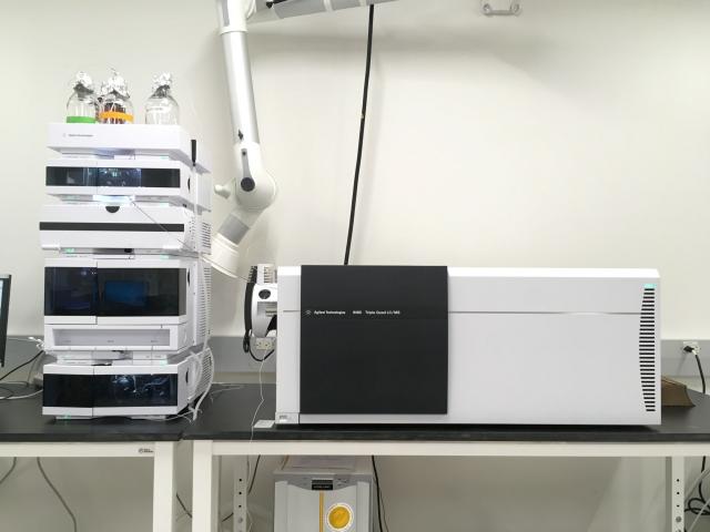 Photo of one processor and various equipment in a lab