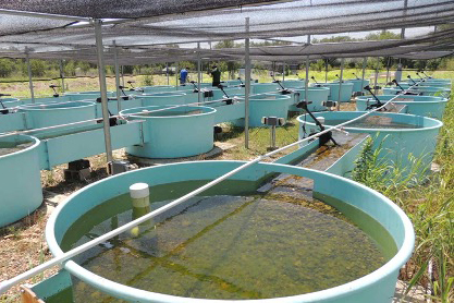 water tanks