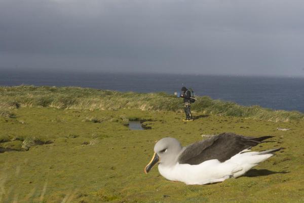 UNT Sub-Antarctic Biocultural Conservation Program Earns Top Honors 