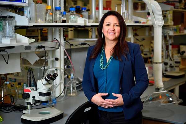Pam Padilla chosen to lead UNT's research and innovation division
