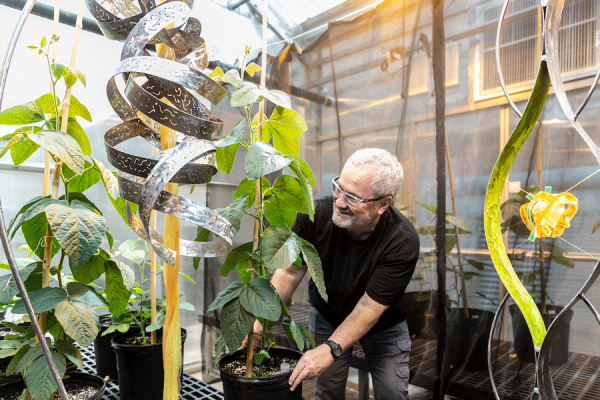 Creating Sculptures Inspired by UNT Plant Research 