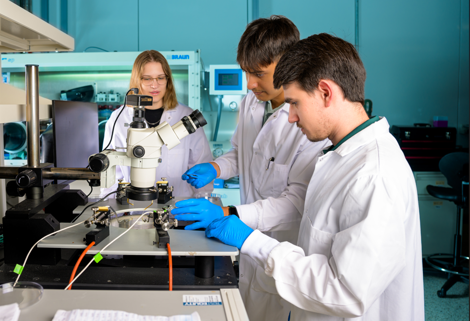 Researchers working on project.